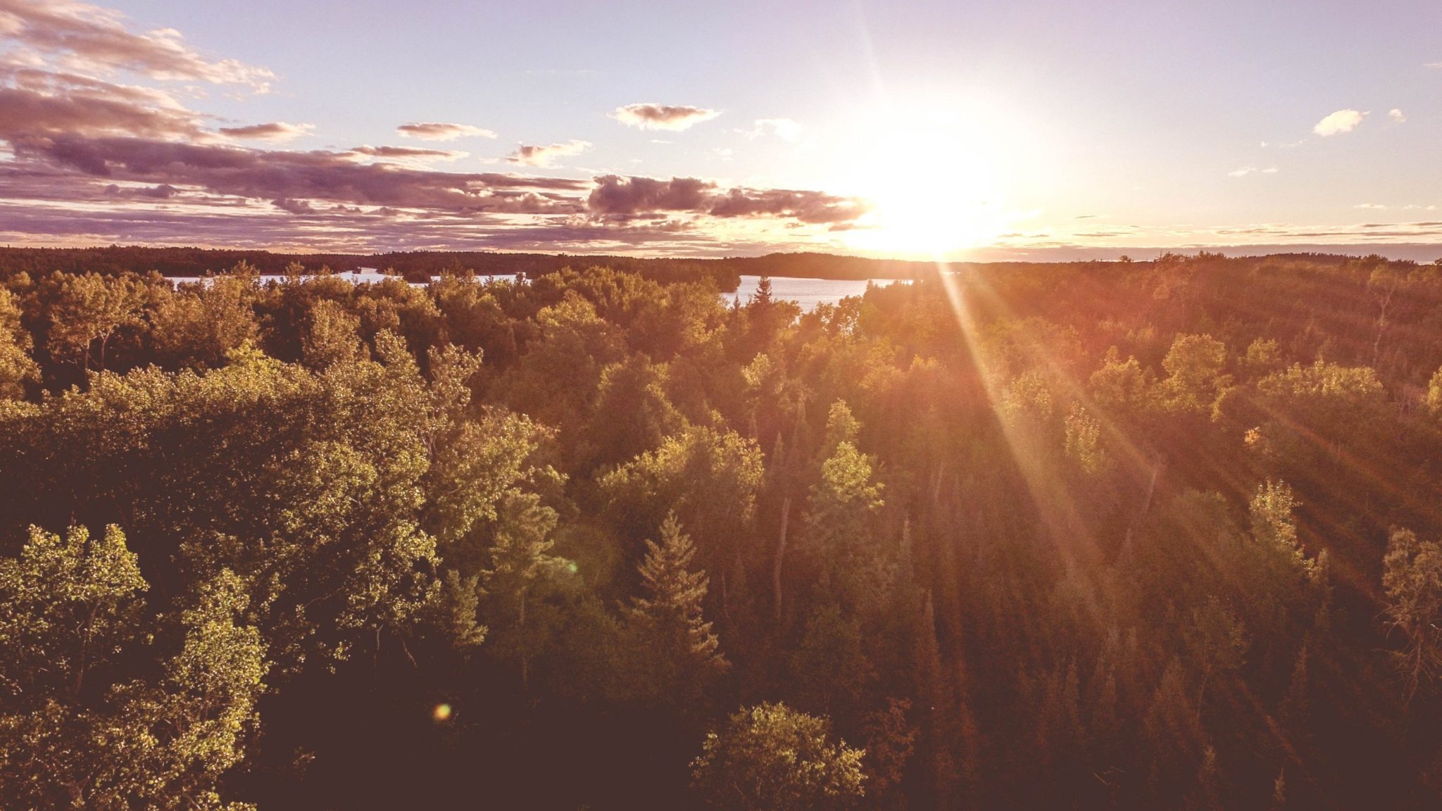 lake of the woods header